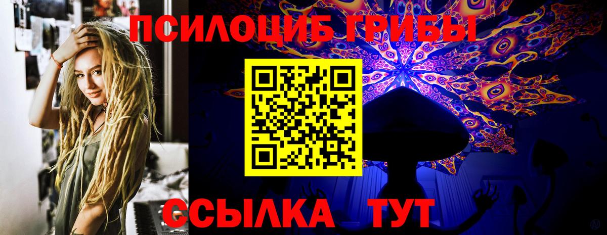 Галлюциногенные грибы мицелий  Вход с VPN  цена наркотик  Псилоцибиновые грибы MAGIC MUSHROOMS  Химки 